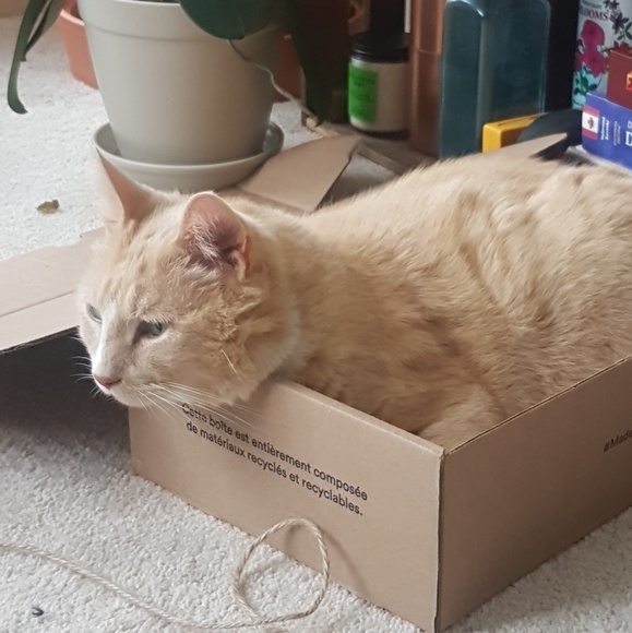 Profile Picture of Nicole Rosenmayer (@nrosenmayer) on Poshmark