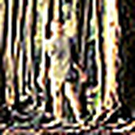 Nicholas Gaffney - Flickr Profile Picture of Nicholas Gaffney (@ngaffney) on Flickr