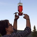 Profile Picture of Julie 'Dailey' Bush (@julie.dailey.bush) on Instagram