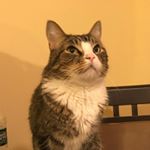 Profile Picture of Nhi Huynh (@hphnhi) on Instagram