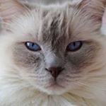 Profile Picture of Marie Benson (@steven.hartley.3766) on Instagram