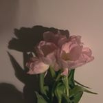 Profile Picture of 문채린(19) (@da_l_in) on Instagram