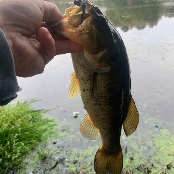 Chris Donoghue - Poshmark Profile Picture of Chris Donoghue (@chris_donoghue) on Poshmark