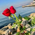 Profile Picture of Samira-assadi (@samiraassadi2635) on Instagram