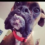 Profile Picture of Michael Forsythe (@michael.forsythe.98) on Facebook