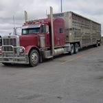 Profile Picture of Danny Joe Gingerich (@dagnabyt) on Instagram