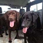 Profile Picture of Karin James (@karin.james) on Instagram