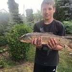 Profile Picture of Adam Kieszrtejna (@kieszrtejna) on Instagram