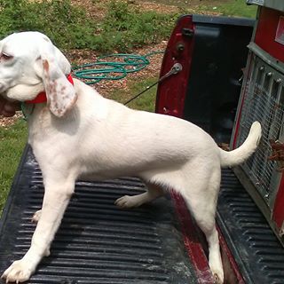 Profile Picture of Rick Stephens (@dms.tackle) on Facebook