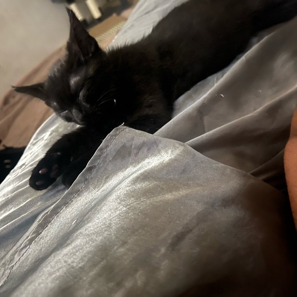 Profile Picture of Taniya Linzy (@xotaniyaa) on Poshmark