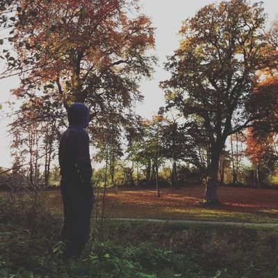 Profile Picture of Thingy Mcjigley 🌐 (@McentireJoseph) on Twitter