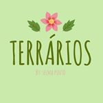 Profile Picture of Selma Pinto Terrários (@selmaterrarios) on Instagram