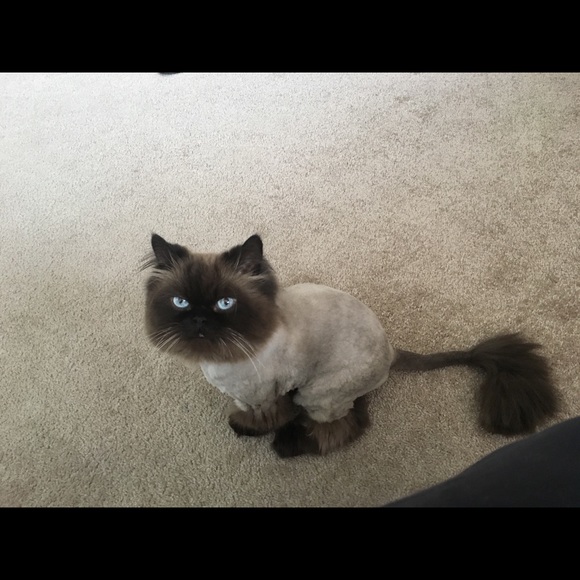 Keryl Whetstone - Poshmark Profile Picture of Keryl Whetstone (@kerkeryl) on Poshmark