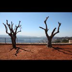 Profile Picture of joebalona (@joebalona) on Instagram