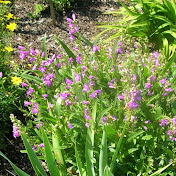 Profile Picture of Scott Berg (@AldScottBerg) on Youtube