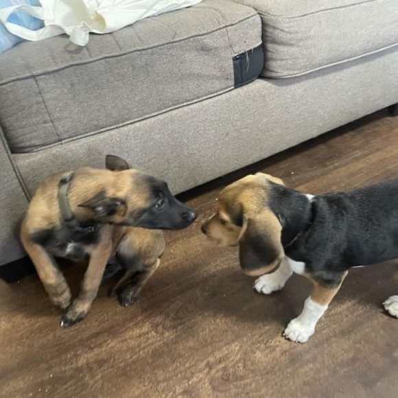 Profile Picture of Vicky Guzman (@vickyguzman116) on Poshmark