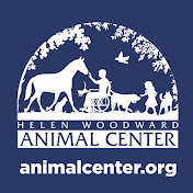 Profile Picture of Helen Woodward Animal Center (@hwac) on Youtube