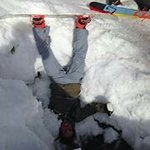 Profile Picture of Damian James (@lionsandtigersandbeers) on Instagram