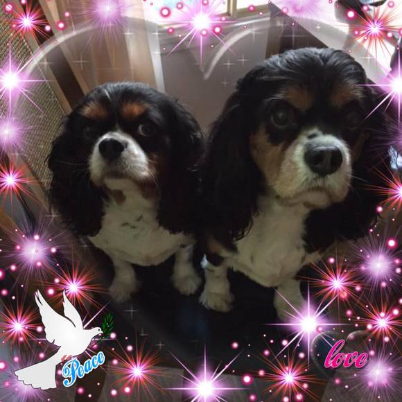 Profile Picture of Lea Oliver-cross (@ommalea) on Poshmark