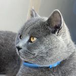 Profile Picture of Matthew pemble (@pem8le) on Instagram