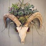 Profile Picture of David Chapple (@david.chapple.9638) on Instagram