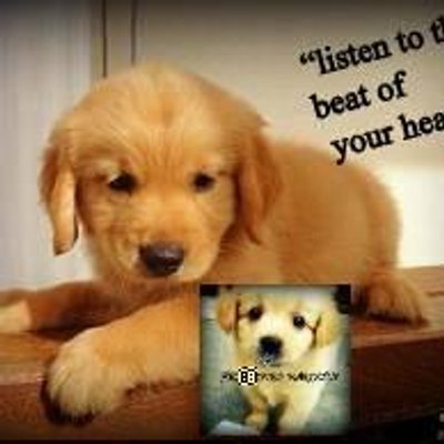 Profile Picture of Marky Roby (@markrobelT) on Twitter