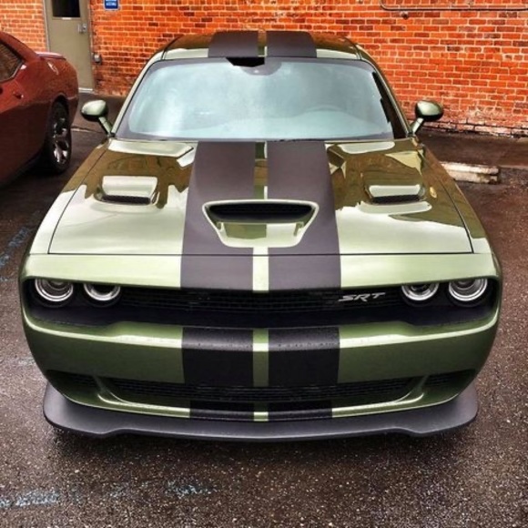 Profile Picture of Daniel Grochmal (@dependable69) on Poshmark