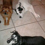 Profile Picture of James Seberry sr (@jeseb25) on Instagram