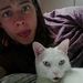 Profile Picture of Jesse Lauer (@jesselauer4) on Pinterest