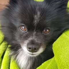 Profile Picture of andreawoitkowiak (@andreawoitkowiak) on Tiktok