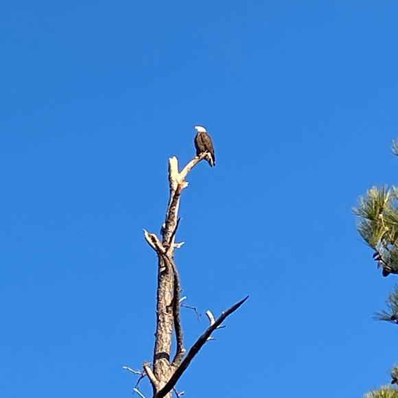 Profile Picture of Greg Wagner (@gregwagner595) on Poshmark