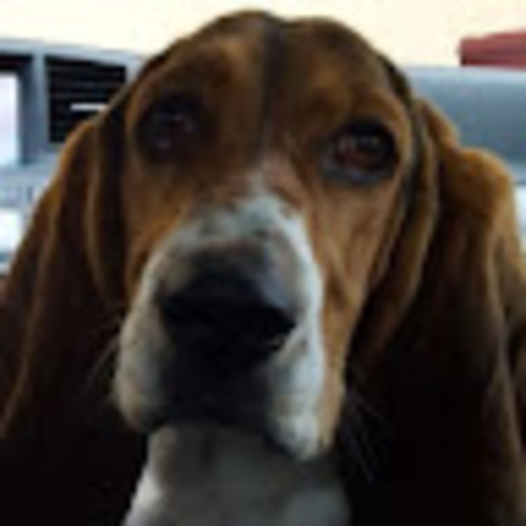 Profile Picture of Abigail Veerkamp (@aveerkamp) on Poshmark