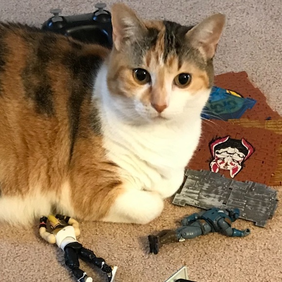 Profile Picture of Lynn Muise (@lynn_muise) on Poshmark