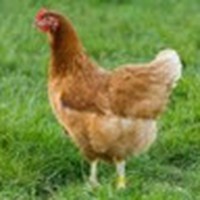 Profile Picture of Adam Mendenhall (@adam-mendenhall-6) on Quora