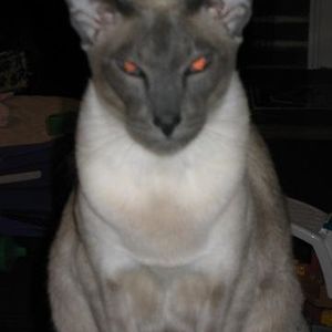 Profile Picture of Julia Rudden (@229101084) on Myspace