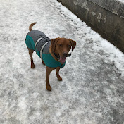 Profile Picture of Martin Robertson (@MartinRobertson-w8z) on Youtube