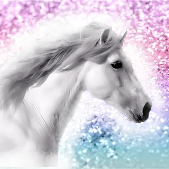 Profile Picture of Damia Reitsma (@horsegirl4evr) on Poshmark