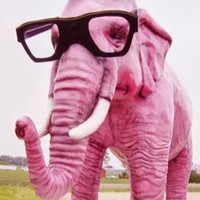 Profile Picture of Kim Corson (@kim-corson) on Quora