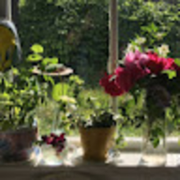 Profile Picture of Crystal Drew (@crystaldrew9) on Poshmark