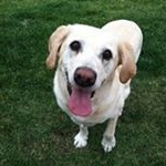 Profile Picture of Robin Ebhardt Paluso (@robinpaluso) on Instagram