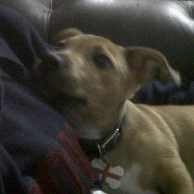 Profile Picture of Carlos Perkins (@perkins1977) on Twitter