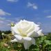 Profile Picture of George Manolis (@george.manolis.1690) on Facebook