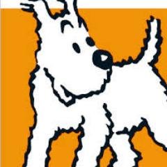 Profile Picture of Bob Bobbink (@Bob_Bobbink) on Twitter