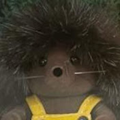 Profile Picture of Ron Ninio (@ronninio281) on Youtube