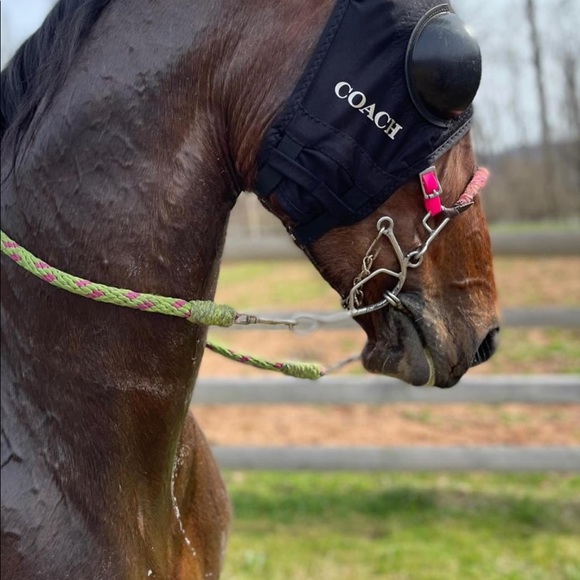 Profile Picture of Joel Del valle (@joelito809pr) on Poshmark