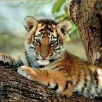 Profile Picture of Thomas Frechette (@thomas.frechette.35) on Facebook