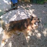 Profile Picture of angelo romanelli (@angelo.romanelli.796) on Instagram