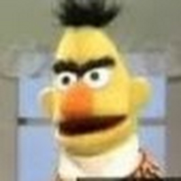 Profile Picture of Andy Chaney (@bforbernie) on Poshmark