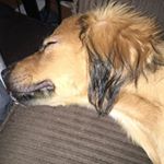 Profile Picture of Tyler Downing (@screwthis_2020) on Instagram