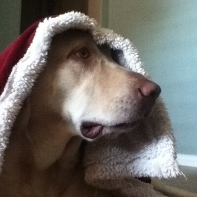 Profile Picture of Steve Dennis (@stevenwdennis) on Twitter